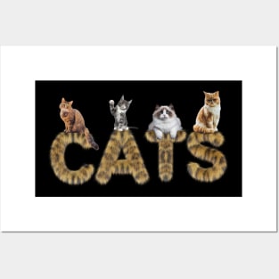 CATS Posters and Art